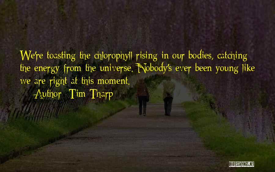 Tim Tharp Quotes: We're Toasting The Chlorophyll Rising In Our Bodies, Catching The Energy From The Universe. Nobody's Ever Been Young Like We