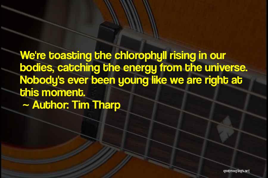 Tim Tharp Quotes: We're Toasting The Chlorophyll Rising In Our Bodies, Catching The Energy From The Universe. Nobody's Ever Been Young Like We