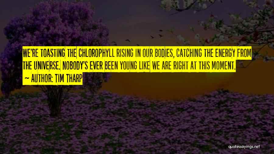 Tim Tharp Quotes: We're Toasting The Chlorophyll Rising In Our Bodies, Catching The Energy From The Universe. Nobody's Ever Been Young Like We