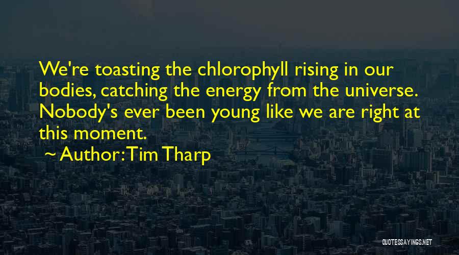 Tim Tharp Quotes: We're Toasting The Chlorophyll Rising In Our Bodies, Catching The Energy From The Universe. Nobody's Ever Been Young Like We