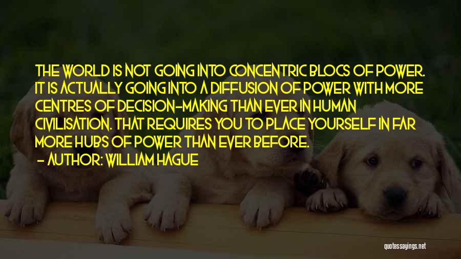 William Hague Quotes: The World Is Not Going Into Concentric Blocs Of Power. It Is Actually Going Into A Diffusion Of Power With