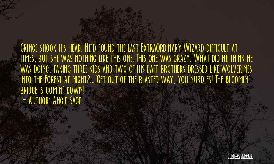 Angie Sage Quotes: Gringe Shook His Head. He'd Found The Last Extraordinary Wizard Difficult At Times, But She Was Nothing Like This One.