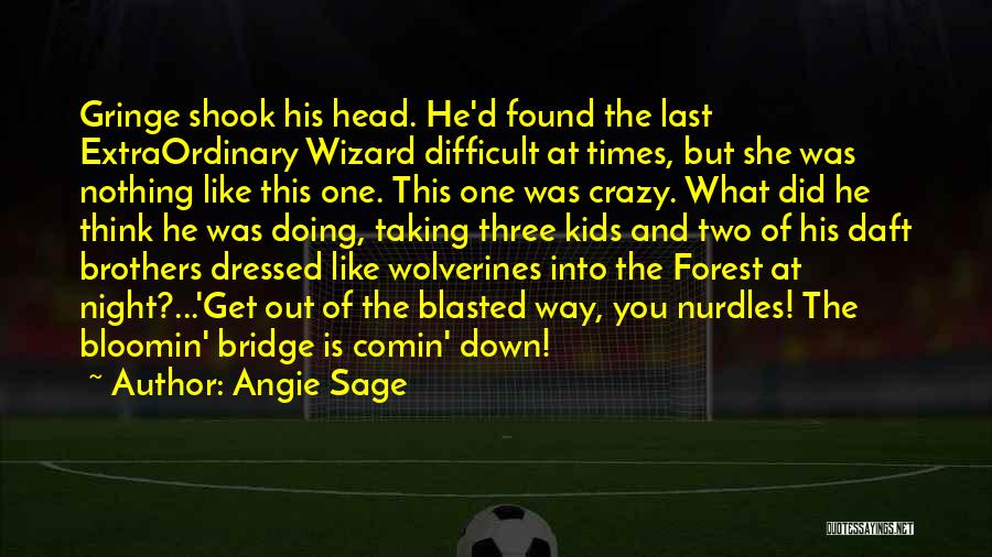 Angie Sage Quotes: Gringe Shook His Head. He'd Found The Last Extraordinary Wizard Difficult At Times, But She Was Nothing Like This One.