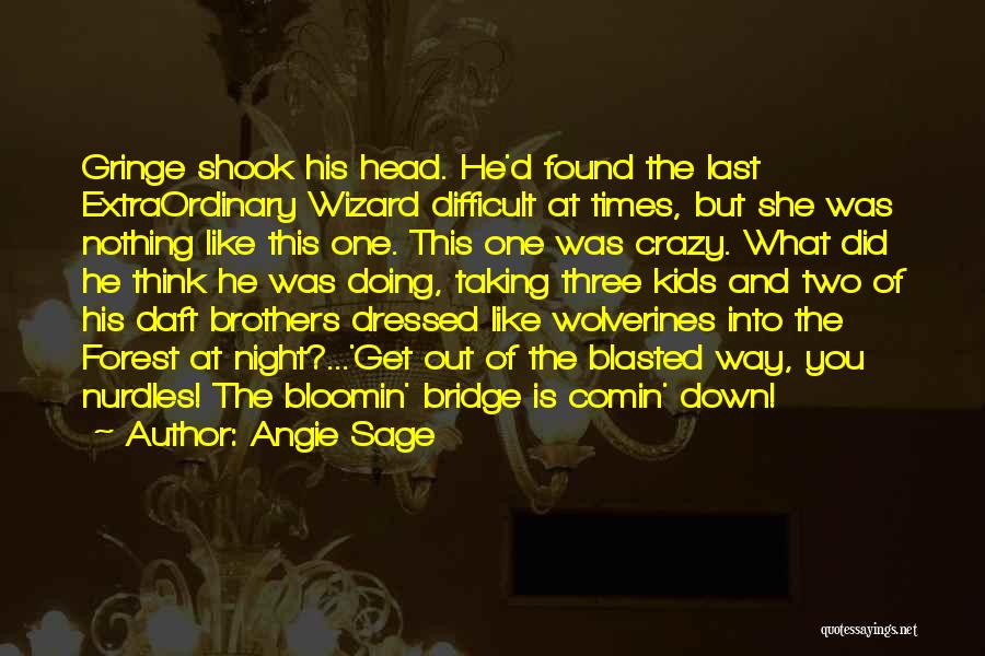 Angie Sage Quotes: Gringe Shook His Head. He'd Found The Last Extraordinary Wizard Difficult At Times, But She Was Nothing Like This One.