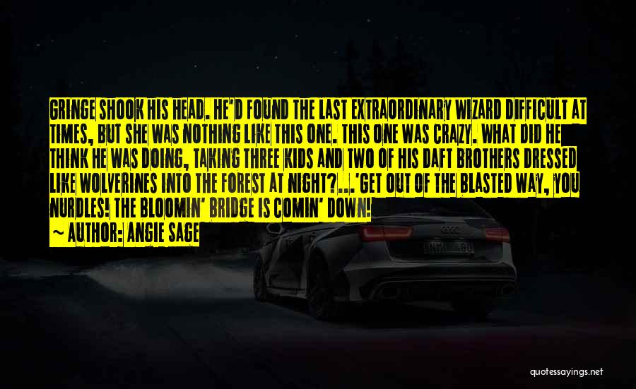 Angie Sage Quotes: Gringe Shook His Head. He'd Found The Last Extraordinary Wizard Difficult At Times, But She Was Nothing Like This One.