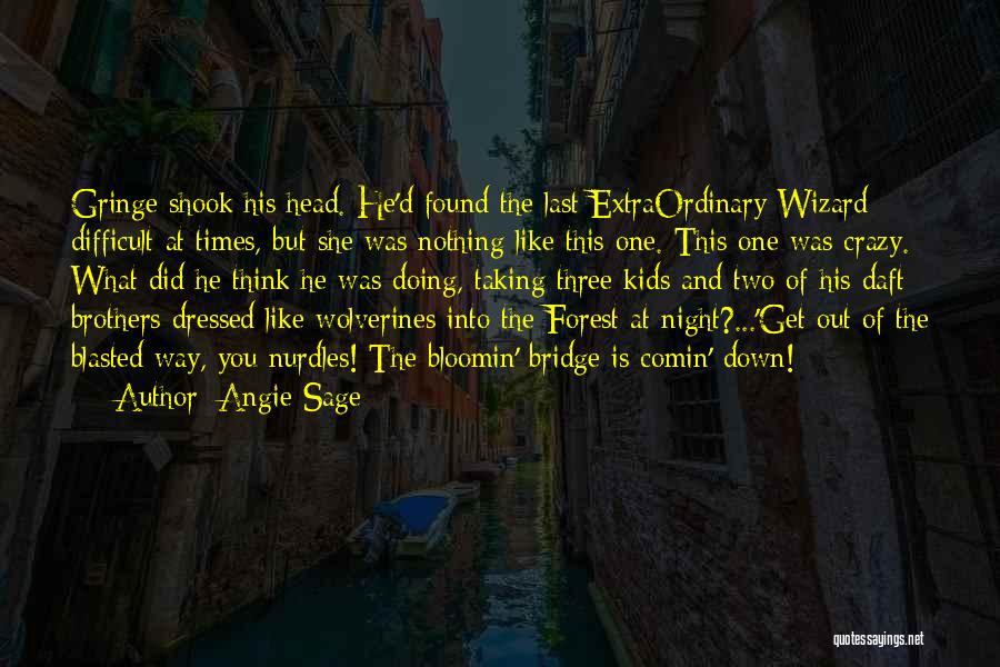 Angie Sage Quotes: Gringe Shook His Head. He'd Found The Last Extraordinary Wizard Difficult At Times, But She Was Nothing Like This One.