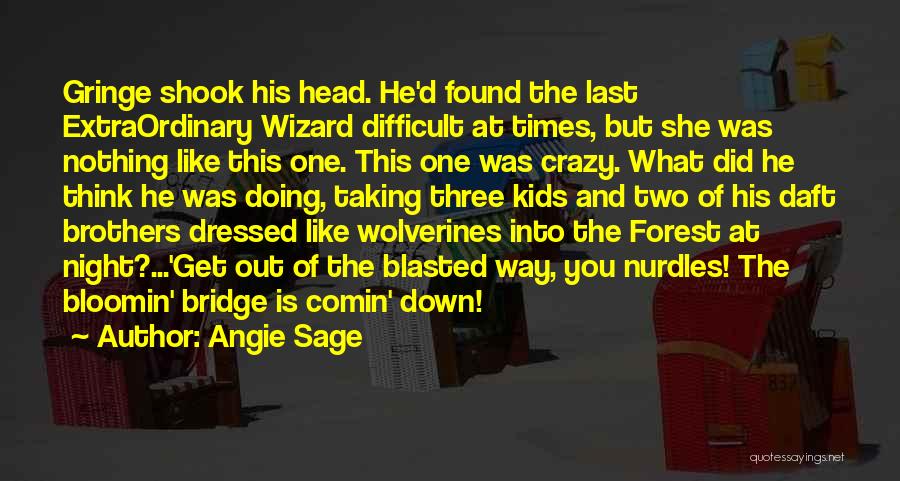 Angie Sage Quotes: Gringe Shook His Head. He'd Found The Last Extraordinary Wizard Difficult At Times, But She Was Nothing Like This One.