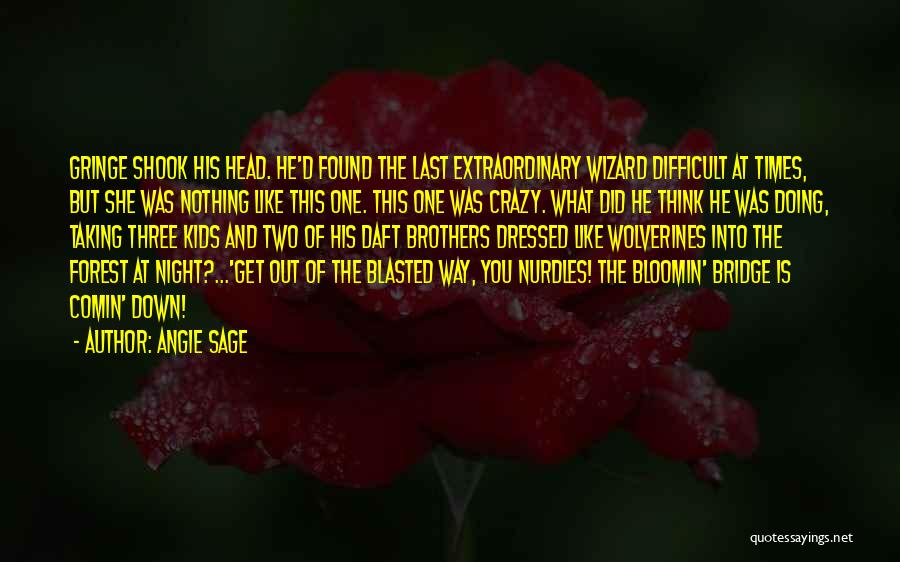 Angie Sage Quotes: Gringe Shook His Head. He'd Found The Last Extraordinary Wizard Difficult At Times, But She Was Nothing Like This One.