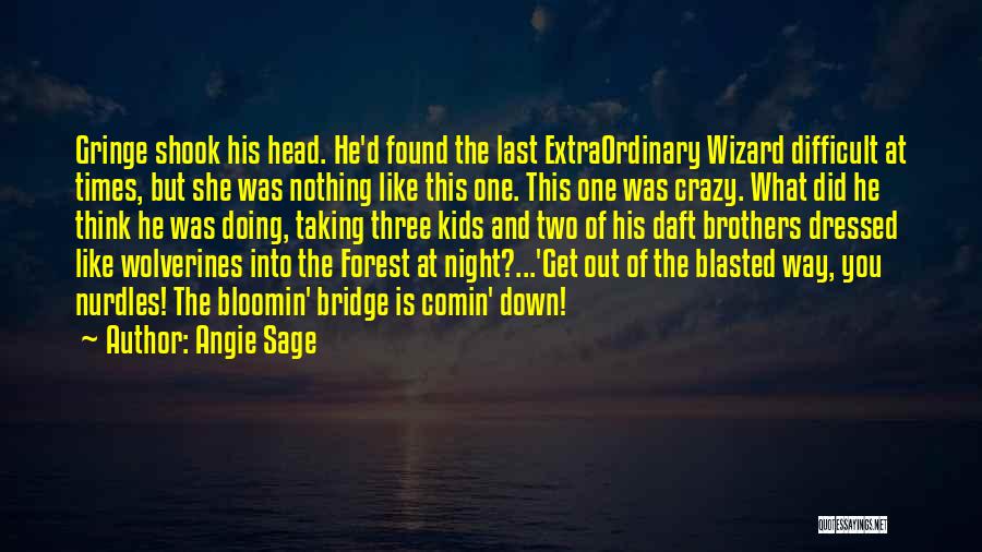 Angie Sage Quotes: Gringe Shook His Head. He'd Found The Last Extraordinary Wizard Difficult At Times, But She Was Nothing Like This One.