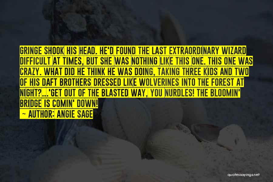 Angie Sage Quotes: Gringe Shook His Head. He'd Found The Last Extraordinary Wizard Difficult At Times, But She Was Nothing Like This One.