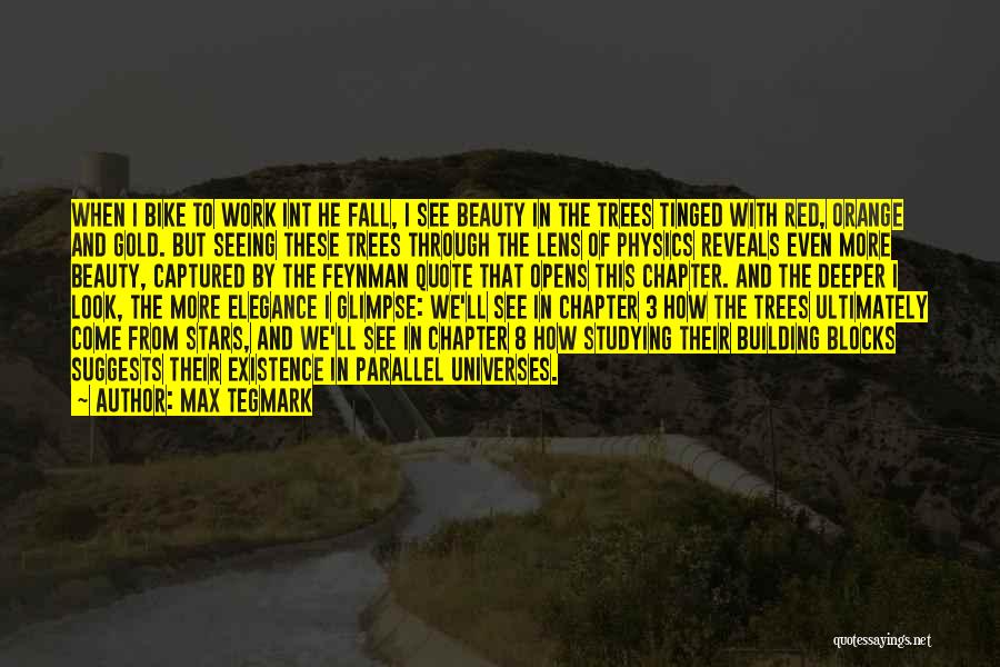 Max Tegmark Quotes: When I Bike To Work Int He Fall, I See Beauty In The Trees Tinged With Red, Orange And Gold.