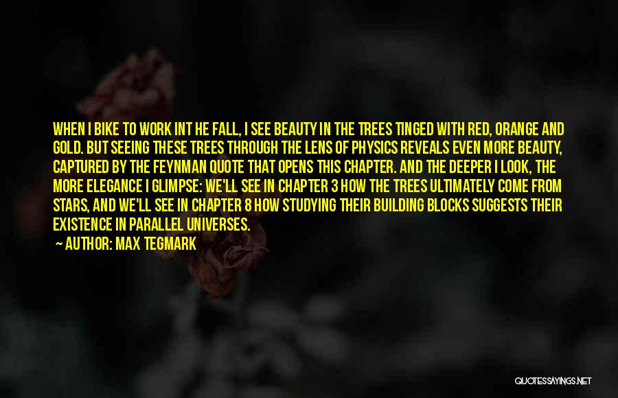 Max Tegmark Quotes: When I Bike To Work Int He Fall, I See Beauty In The Trees Tinged With Red, Orange And Gold.