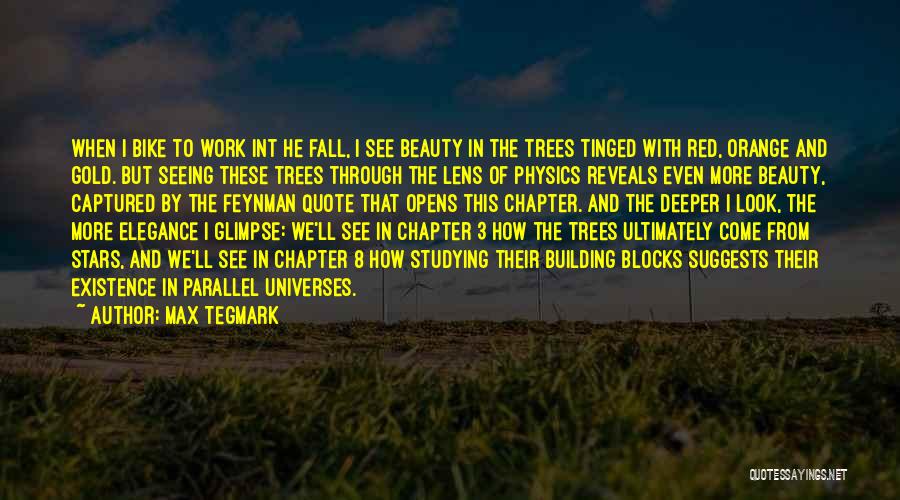 Max Tegmark Quotes: When I Bike To Work Int He Fall, I See Beauty In The Trees Tinged With Red, Orange And Gold.