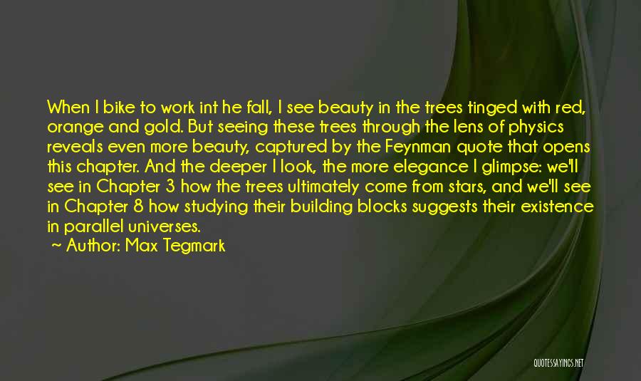 Max Tegmark Quotes: When I Bike To Work Int He Fall, I See Beauty In The Trees Tinged With Red, Orange And Gold.