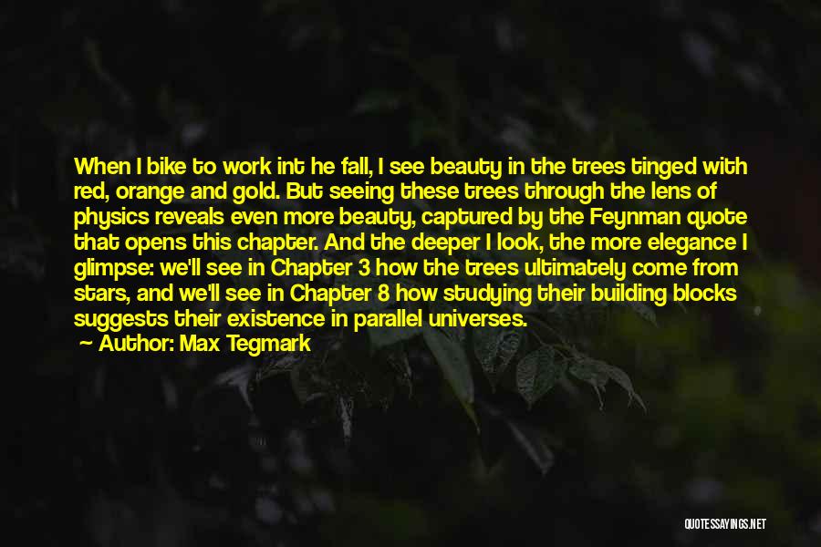 Max Tegmark Quotes: When I Bike To Work Int He Fall, I See Beauty In The Trees Tinged With Red, Orange And Gold.