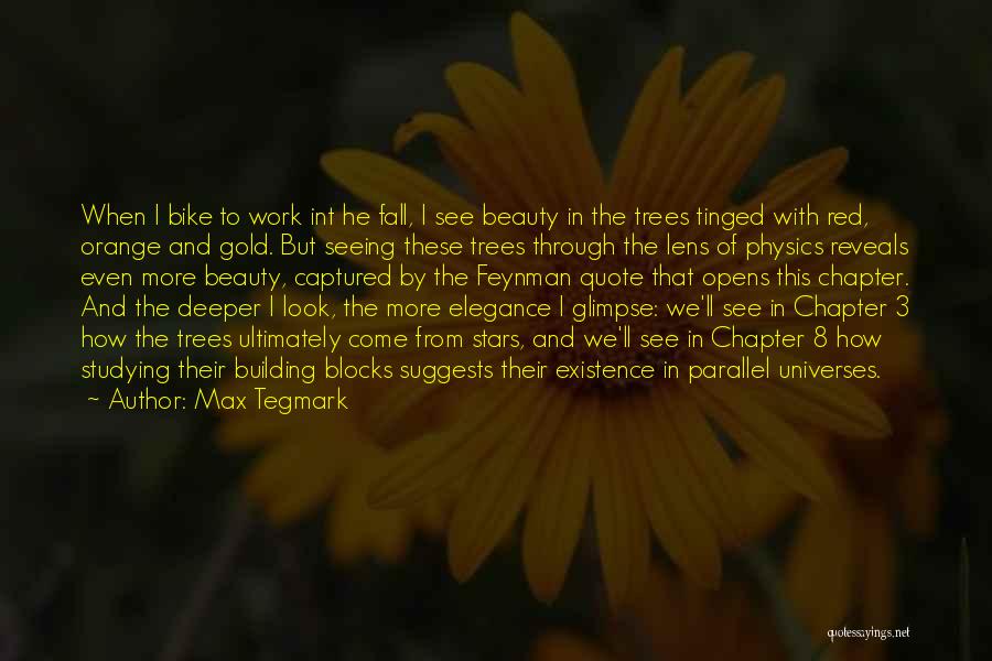 Max Tegmark Quotes: When I Bike To Work Int He Fall, I See Beauty In The Trees Tinged With Red, Orange And Gold.