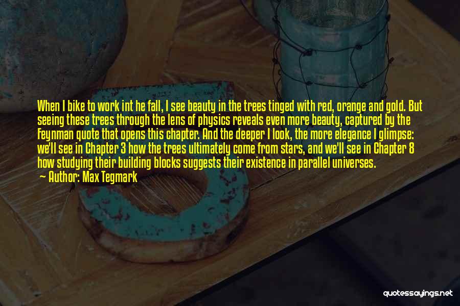 Max Tegmark Quotes: When I Bike To Work Int He Fall, I See Beauty In The Trees Tinged With Red, Orange And Gold.