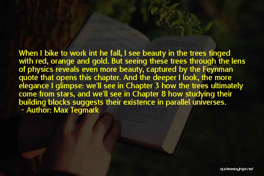 Max Tegmark Quotes: When I Bike To Work Int He Fall, I See Beauty In The Trees Tinged With Red, Orange And Gold.