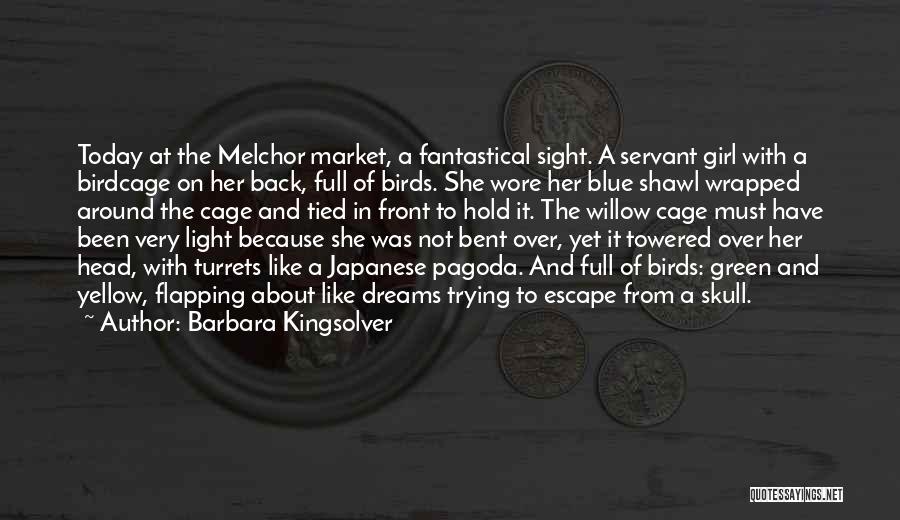 Barbara Kingsolver Quotes: Today At The Melchor Market, A Fantastical Sight. A Servant Girl With A Birdcage On Her Back, Full Of Birds.