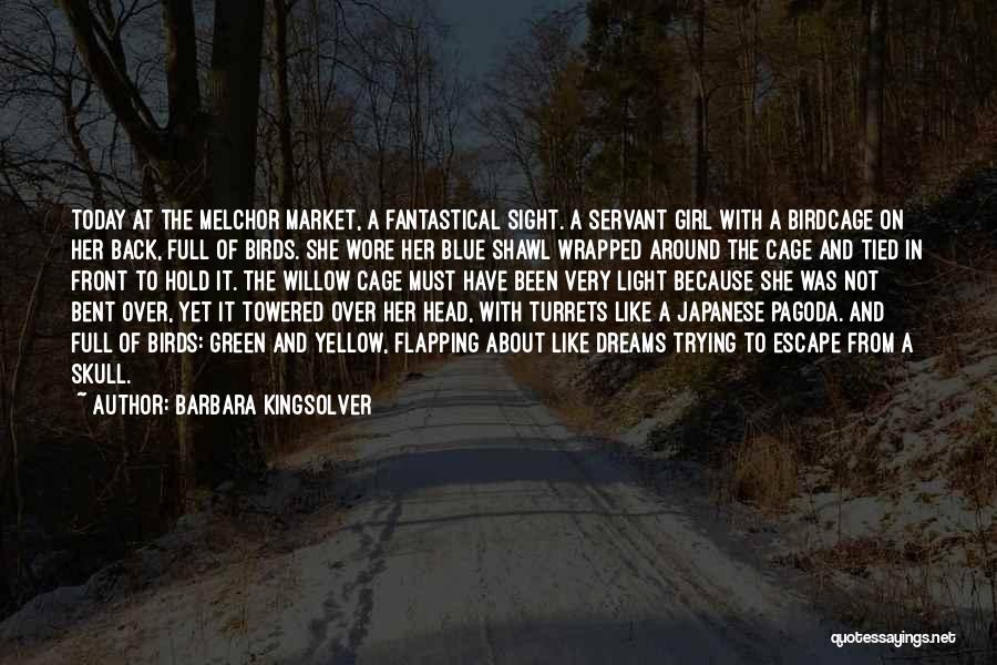 Barbara Kingsolver Quotes: Today At The Melchor Market, A Fantastical Sight. A Servant Girl With A Birdcage On Her Back, Full Of Birds.