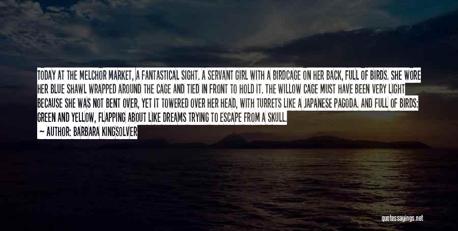 Barbara Kingsolver Quotes: Today At The Melchor Market, A Fantastical Sight. A Servant Girl With A Birdcage On Her Back, Full Of Birds.