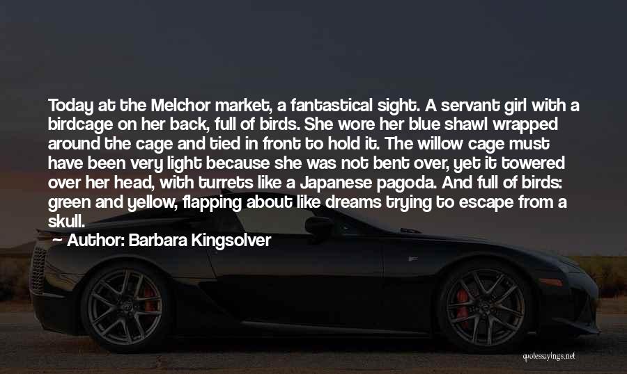 Barbara Kingsolver Quotes: Today At The Melchor Market, A Fantastical Sight. A Servant Girl With A Birdcage On Her Back, Full Of Birds.