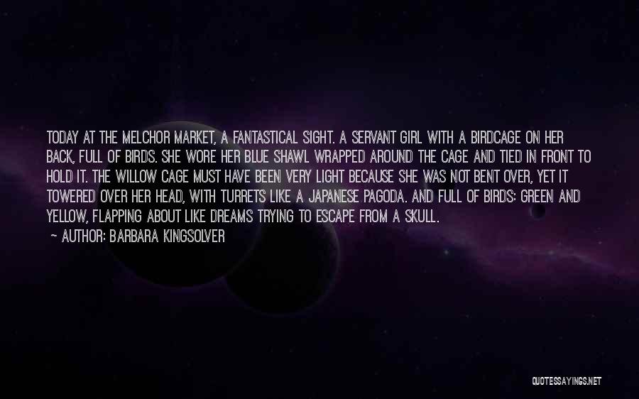 Barbara Kingsolver Quotes: Today At The Melchor Market, A Fantastical Sight. A Servant Girl With A Birdcage On Her Back, Full Of Birds.