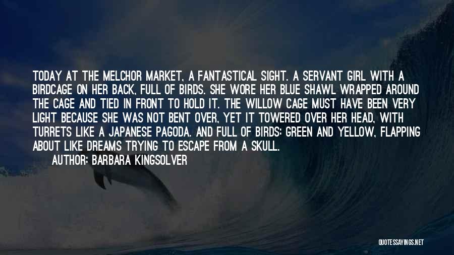 Barbara Kingsolver Quotes: Today At The Melchor Market, A Fantastical Sight. A Servant Girl With A Birdcage On Her Back, Full Of Birds.