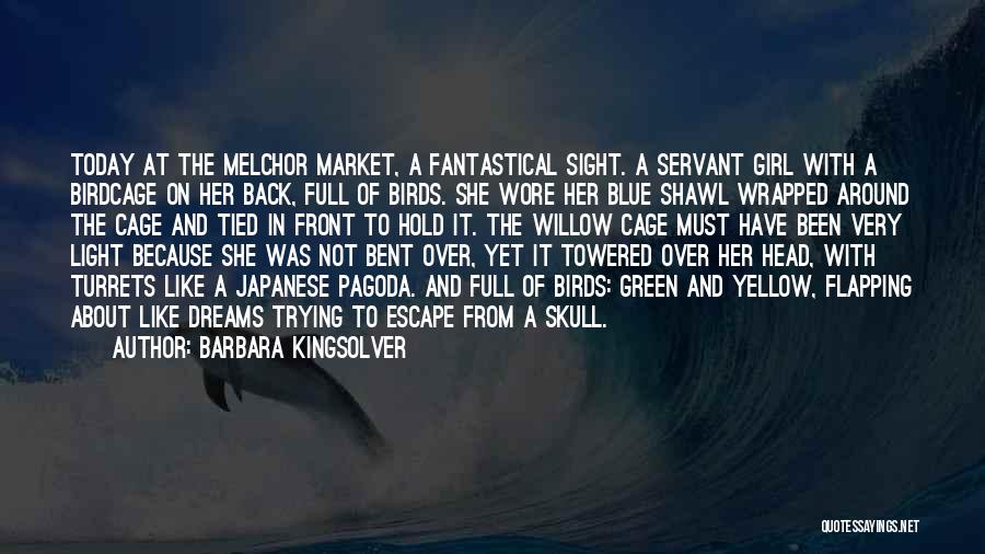 Barbara Kingsolver Quotes: Today At The Melchor Market, A Fantastical Sight. A Servant Girl With A Birdcage On Her Back, Full Of Birds.