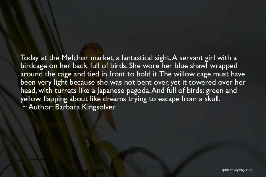 Barbara Kingsolver Quotes: Today At The Melchor Market, A Fantastical Sight. A Servant Girl With A Birdcage On Her Back, Full Of Birds.