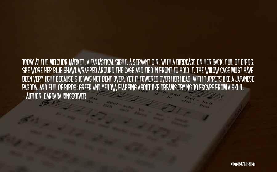 Barbara Kingsolver Quotes: Today At The Melchor Market, A Fantastical Sight. A Servant Girl With A Birdcage On Her Back, Full Of Birds.