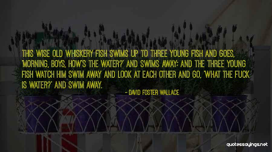 299 Kilometers Hour Quotes By David Foster Wallace 299 Kilometers Hour Quotes By David Foster Wallace