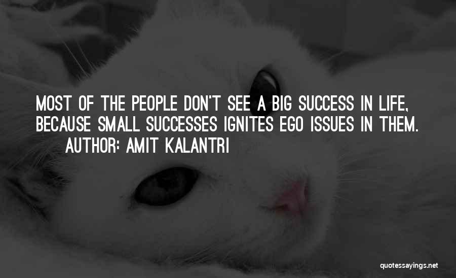 Amit Kalantri Quotes: Most Of The People Don't See A Big Success In Life, Because Small Successes Ignites Ego Issues In Them.