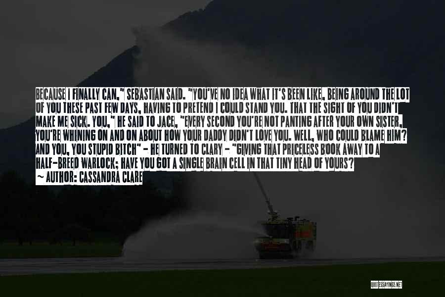 Cassandra Clare Quotes: Because I Finally Can, Sebastian Said. You've No Idea What It's Been Like, Being Around The Lot Of You These