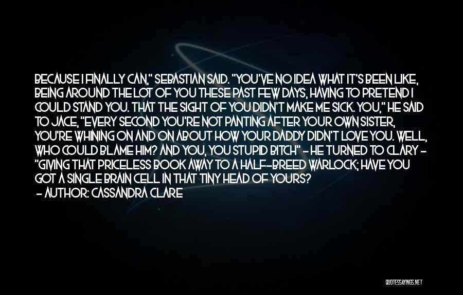 Cassandra Clare Quotes: Because I Finally Can, Sebastian Said. You've No Idea What It's Been Like, Being Around The Lot Of You These
