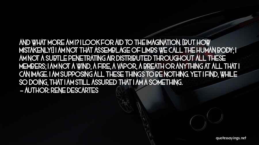 Rene Descartes Quotes: And What More Am I? I Look For Aid To The Imagination. [but How Mistakenly!] I Am Not That Assemblage