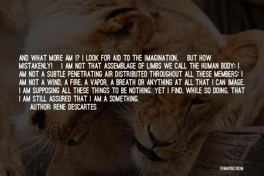 Rene Descartes Quotes: And What More Am I? I Look For Aid To The Imagination. [but How Mistakenly!] I Am Not That Assemblage