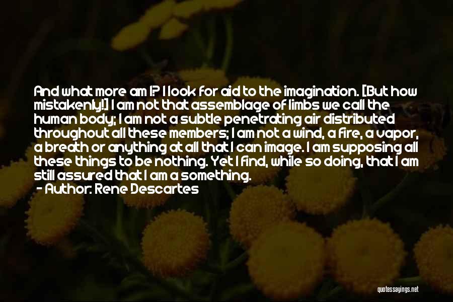 Rene Descartes Quotes: And What More Am I? I Look For Aid To The Imagination. [but How Mistakenly!] I Am Not That Assemblage