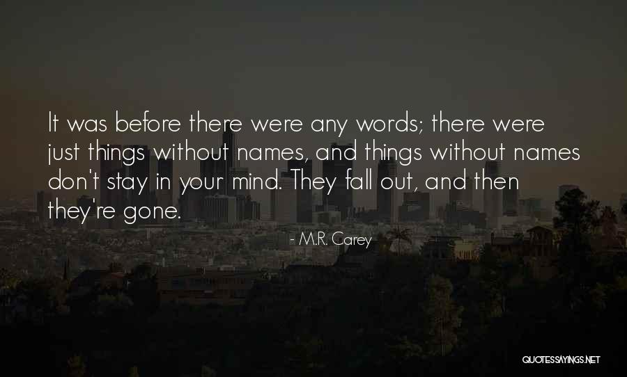 2aaa Quotes By M.R. Carey 2aaa Quotes By M.R. Carey