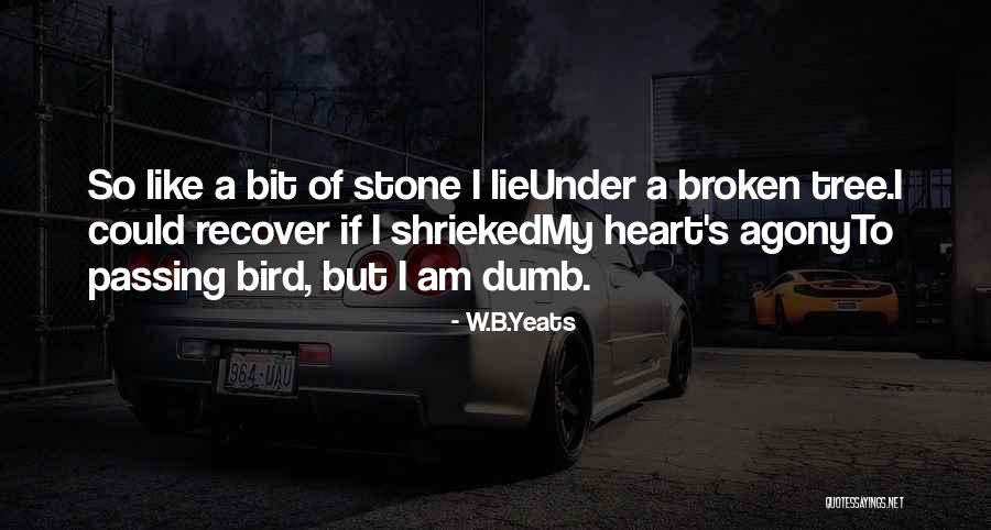 2letnow Quotes By W.B.Yeats 2letnow Quotes By W.B.Yeats
