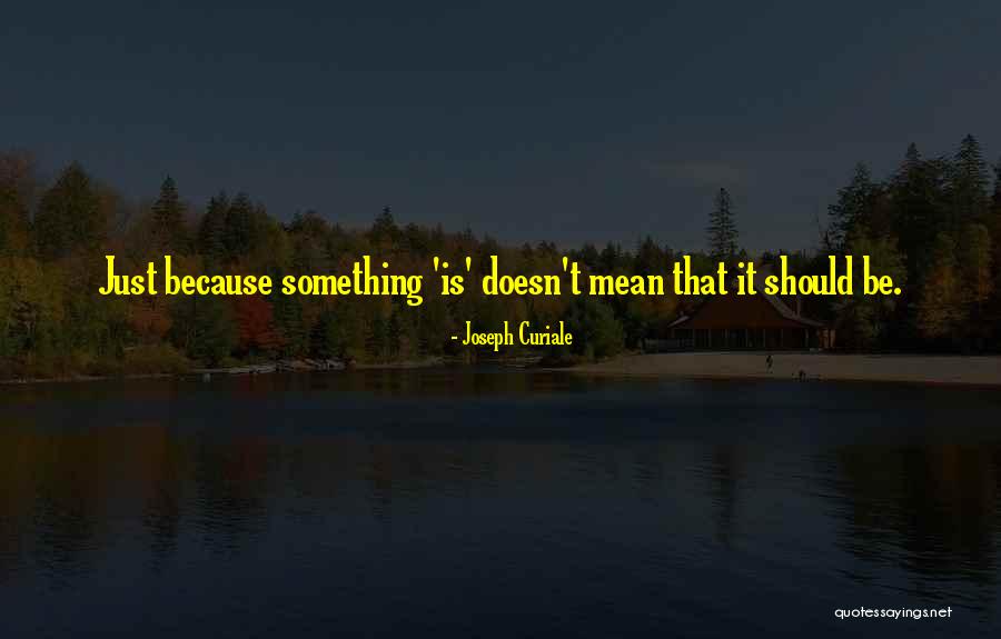 2nd Marriages Quotes By Joseph Curiale