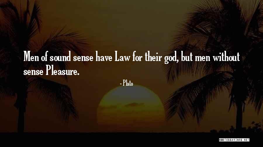 2nd Marriages Quotes By Plato