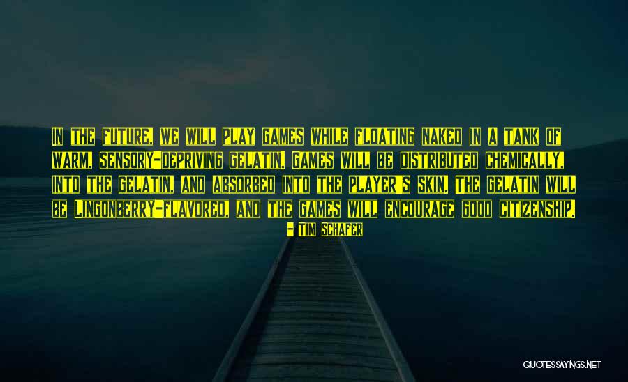 2nd Marriages Quotes By Tim Schafer