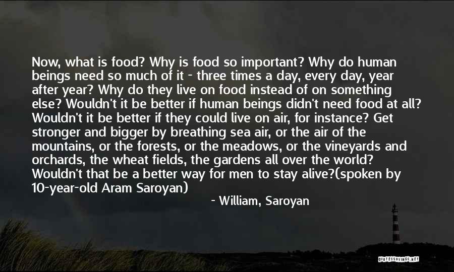 2ndchances Quotes By William, Saroyan 2ndchances Quotes By William, Saroyan