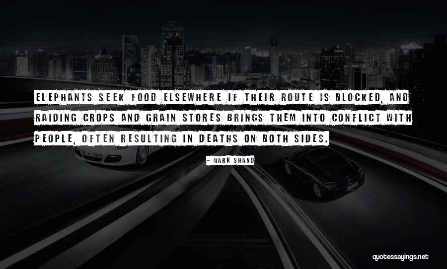 2pm Song Quotes By Mark Shand 2pm Song Quotes By Mark Shand