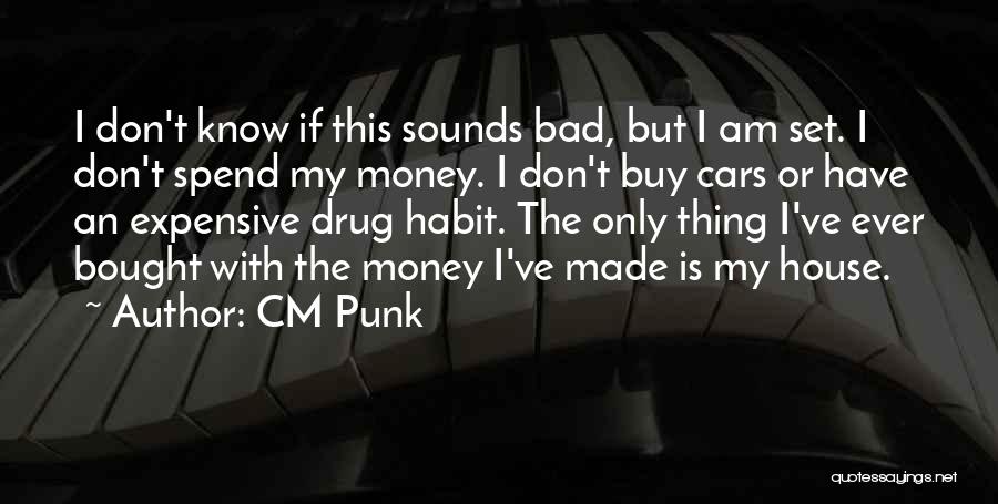 2years Birthday Quotes By CM Punk