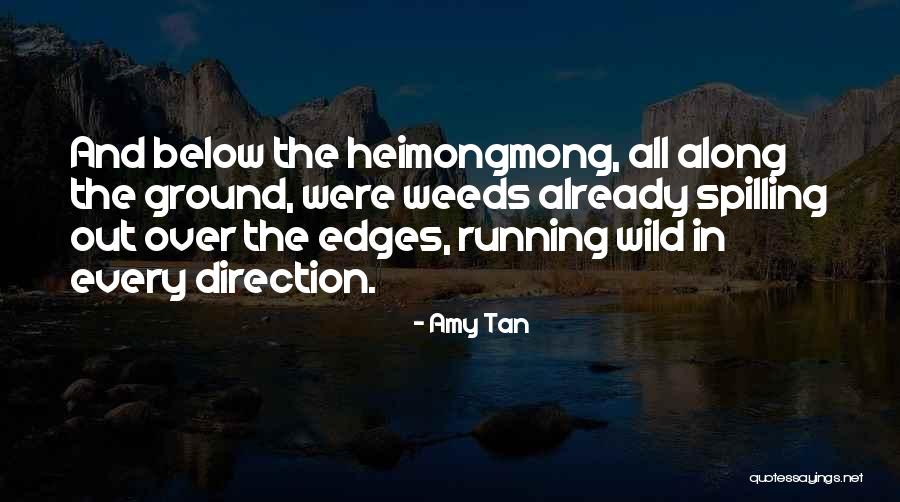 3 Below Quotes By Amy Tan 3 Below Quotes By Amy Tan