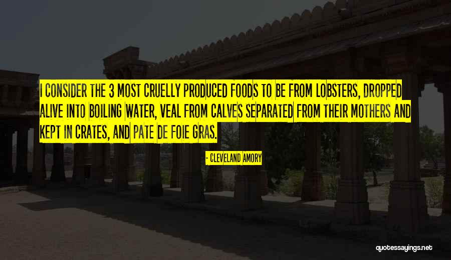 3 Consider Quotes By Cleveland Amory 3 Consider Quotes By Cleveland Amory