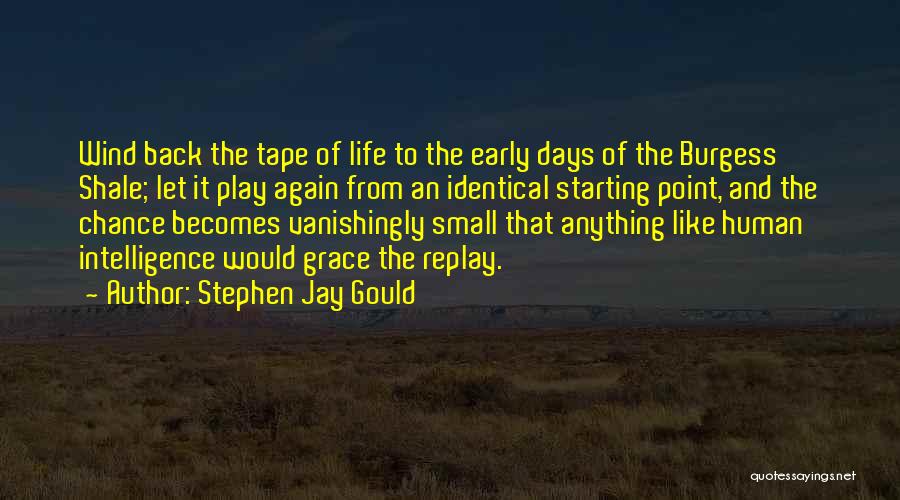 3 Days Grace Quotes By Stephen Jay Gould