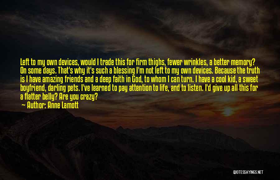 3 Days Left Quotes By Anne Lamott